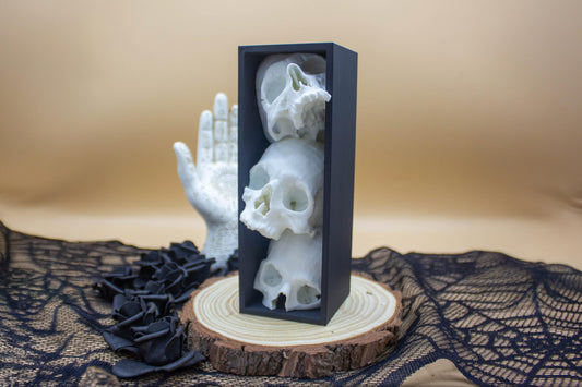 Skull Book Nook – Gothic Bookshelf Insert, Spooky Library Decor, Haunted Miniature Scene